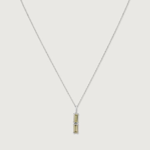 Radiant Charm Silver Necklace