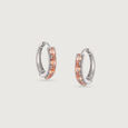Glossy Glint Silver Earrings,,hi-res view 3