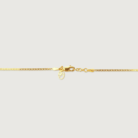Polished Pop Gold Chain