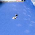 Lippan Twinkle Gold & Diamond Nose Pin,,hi-res view 1