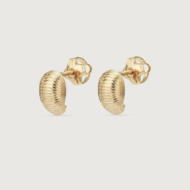 Ribbed Shell Gold Stud Earrings,,hi-res image number null