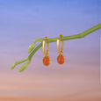 Solar Glow Carnelian Hoop Earrings,,hi-res view 1