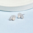 Luminous Pearl Silver Stud Earrings,,hi-res view 1