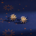 Timeless Radiating Star 14KT Diamond Stud Earring,,hi-res view 1