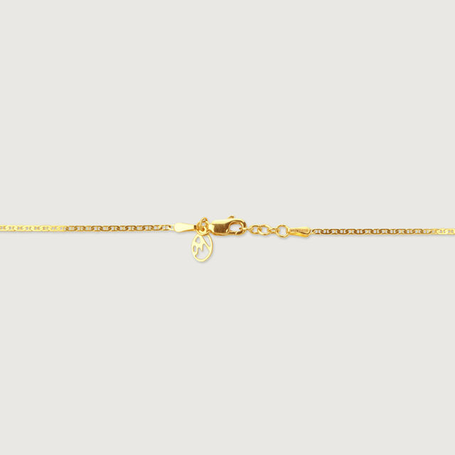 Polished Pop Gold Chain,,hi-res image number null