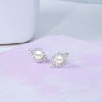 Alluring Pearl Silver Stud Earrings,,hi-res view 1