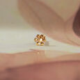 Petal Pop Gold Nose Pin,,hi-res view 1