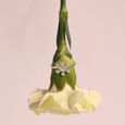 Floral Flutter Diamond Ring,,hi-res view 1