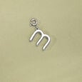 Classic Initial M Silver Charm,,hi-res view 1