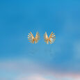 Bold Radiant Gold Stud Earrings,,hi-res view 1