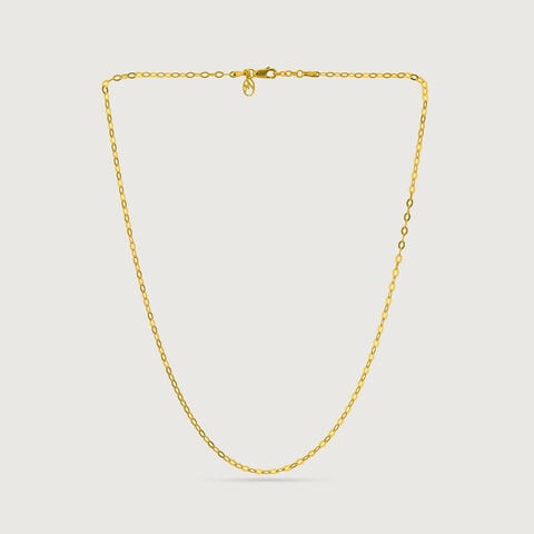 Classic Rolo Link Gold Chain