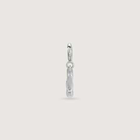Rhythmic Flow Silver Charm