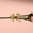 Flutter Bloom Gold bracelet Earrings,,hi-res view 1