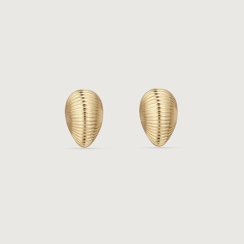 Ribbed Shell Gold Stud Earrings