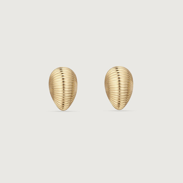 Ribbed Shell Gold Stud Earrings,,hi-res image number null