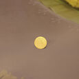 Half Gram 24 Karat Tulsi Coin,,hi-res view 1