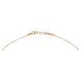 14kt White And Rose Gold Diamond Pendant with Chain,,hi-res view 2