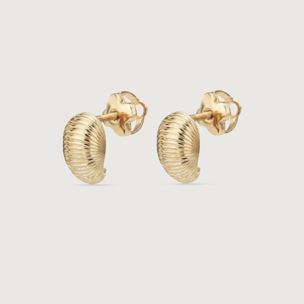 Ribbed Shell Gold Stud Earrings,,hi-res thumbnail 4