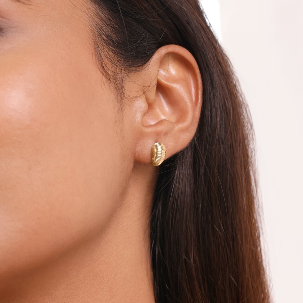Ribbed Shell Gold Stud Earrings,,hi-res thumbnail 2