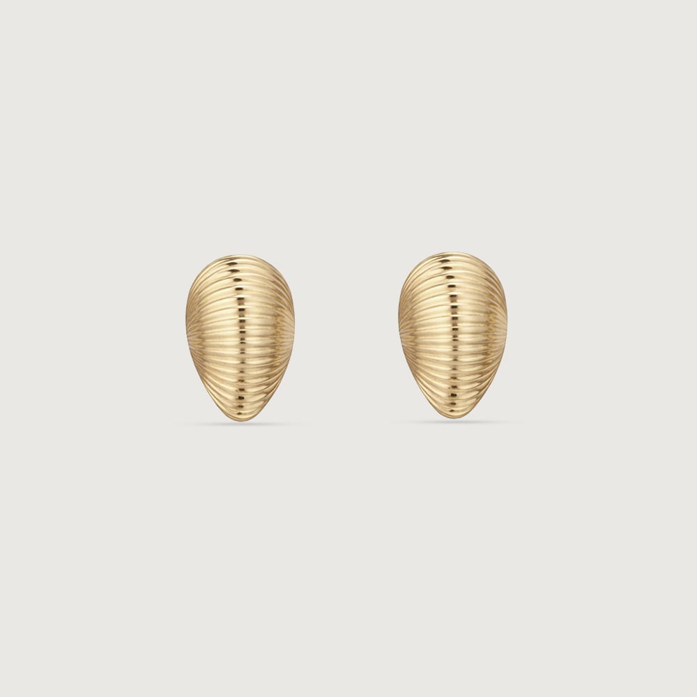 Ribbed Shell Gold Stud Earrings,,hi-res thumbnail 3