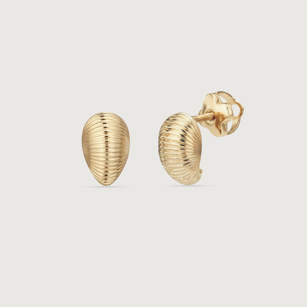 Ribbed Shell Gold Stud Earrings,,hi-res thumbnail 5